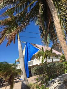 Wind Ripped Roof